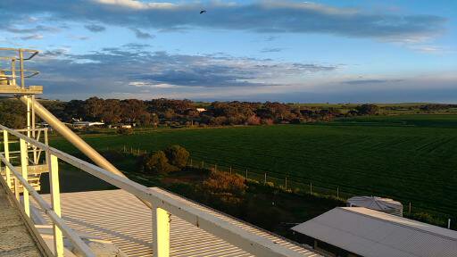 Clare Valley Grains