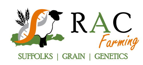RAC Farming - Suffolks | Grain | Genetics