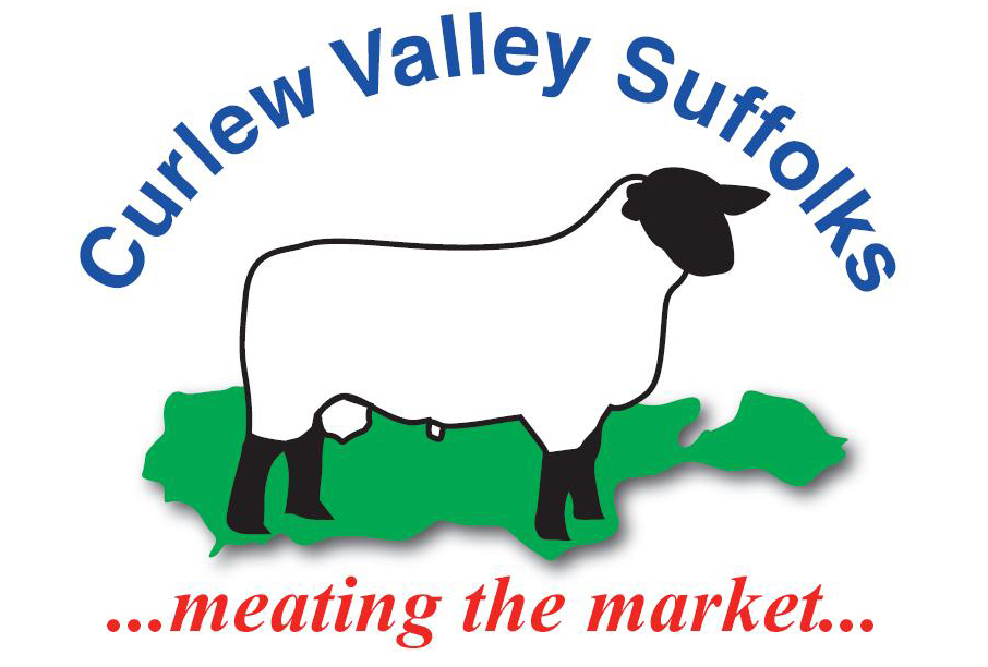 Curlew Valley Suffolks | Meating the Market