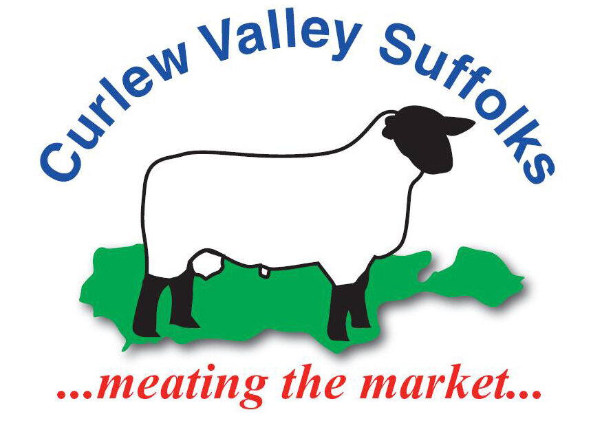 Curlew Valley Suffolks | Meating the Market